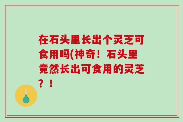 在石头里长出个灵芝可食用吗(神奇!石头里竟然长出可食用的灵芝?!-第1张图片-破壁灵芝孢子粉研究指南 在石头里长出个灵芝可食用吗(神奇!石头里竟然长出可食用的灵芝?!-第1张图片-破壁灵芝孢子粉研究指南