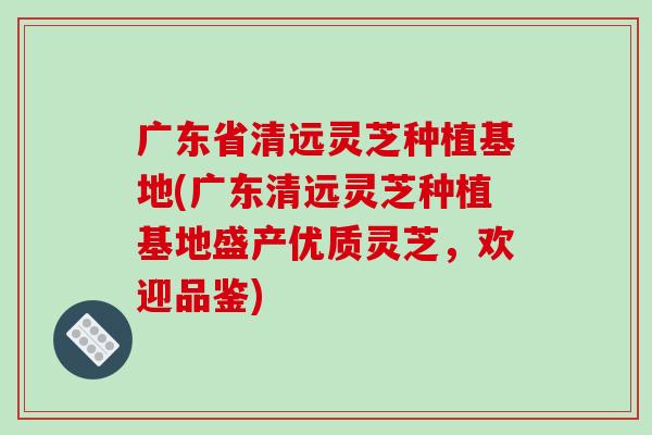 广东省清远灵芝种植基地(广东清远灵芝种植基地盛产优质灵芝,欢迎品鉴)-第1张图片-破壁灵芝孢子粉研究指南 广东省清远灵芝种植基地(广东清远灵芝种植基地盛产优质灵芝,欢迎品鉴)-第1张图片-破壁灵芝孢子粉研究指南