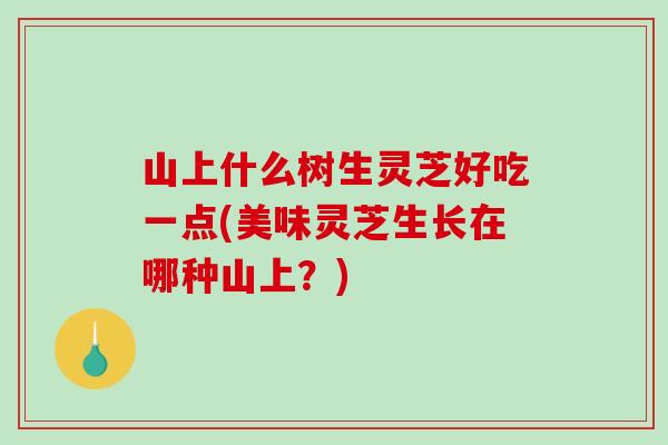 山上什么树生灵芝好吃一点(美味灵芝生长在哪种山上?)-第1张图片-破壁灵芝孢子粉研究指南 山上什么树生灵芝好吃一点(美味灵芝生长在哪种山上?)-第1张图片-破壁灵芝孢子粉研究指南