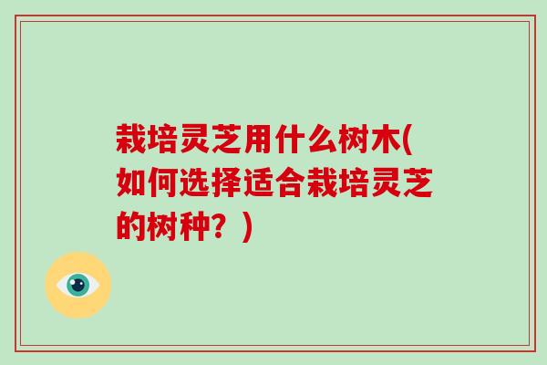 栽培灵芝用什么树木(如何选择适合栽培灵芝的树种？)-第1张图片-破壁灵芝孢子粉研究指南