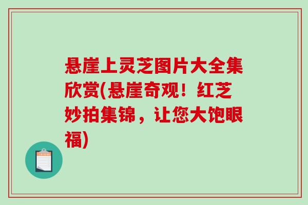 悬崖上灵芝图片大全集欣赏(悬崖奇观！红芝妙拍集锦，让您大饱眼福)-第1张图片-破壁灵芝孢子粉研究指南