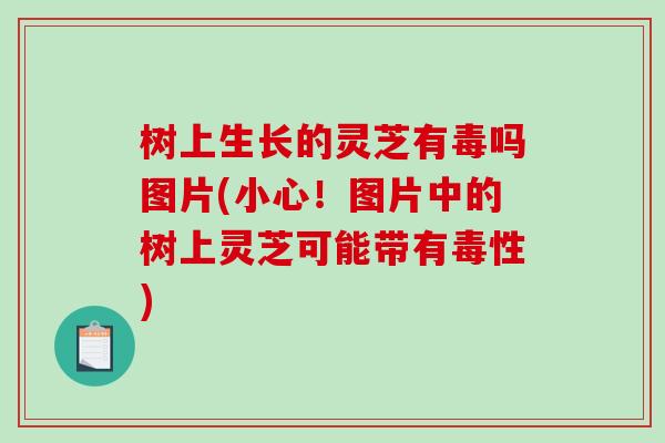 树上生长的灵芝有毒吗图片(小心！图片中的树上灵芝可能带有毒性)-第1张图片-破壁灵芝孢子粉研究指南