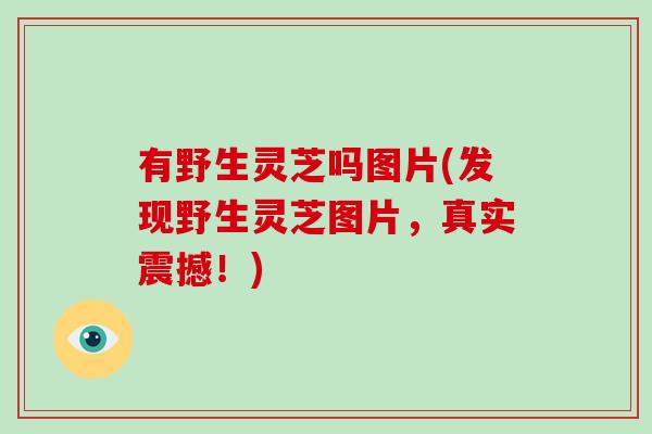 有野生灵芝吗图片(发现野生灵芝图片，真实震撼！)-第1张图片-破壁灵芝孢子粉研究指南