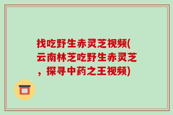 找吃野生赤灵芝视频(云南林芝吃野生赤灵芝,探寻中药之王视频)-第1张图片-破壁灵芝孢子粉研究指南 找吃野生赤灵芝视频(云南林芝吃野生赤灵芝,探寻中药之王视频)-第1张图片-破壁灵芝孢子粉研究指南