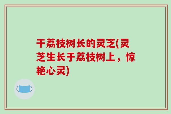 干荔枝树长的灵芝(灵芝生长于荔枝树上，惊艳心灵)-第1张图片-破壁灵芝孢子粉研究指南