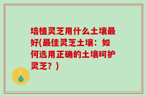 培植灵芝用什么土壤最好(最佳灵芝土壤:如何选用正确的土壤呵护灵芝?)-第1张图片-破壁灵芝孢子粉研究指南 培植灵芝用什么土壤最好(最佳灵芝土壤:如何选用正确的土壤呵护灵芝?)-第1张图片-破壁灵芝孢子粉研究指南