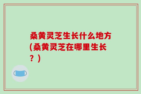 桑黄灵芝生长什么地方(桑黄灵芝在哪里生长?)-第1张图片-破壁灵芝孢子粉研究指南 桑黄灵芝生长什么地方(桑黄灵芝在哪里生长?)-第1张图片-破壁灵芝孢子粉研究指南