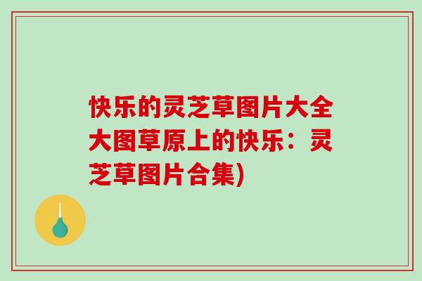 快乐的灵芝草图片大全大图草原上的快乐:灵芝草图片合集)-第1张图片-破壁灵芝孢子粉研究指南 快乐的灵芝草图片大全大图草原上的快乐:灵芝草图片合集)-第1张图片-破壁灵芝孢子粉研究指南