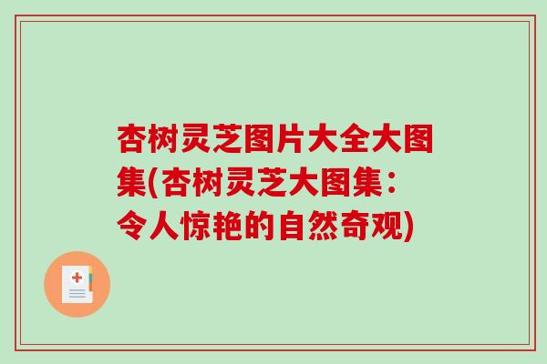 杏树灵芝图片大全大图集(杏树灵芝大图集：令人惊艳的自然奇观)-第1张图片-破壁灵芝孢子粉研究指南