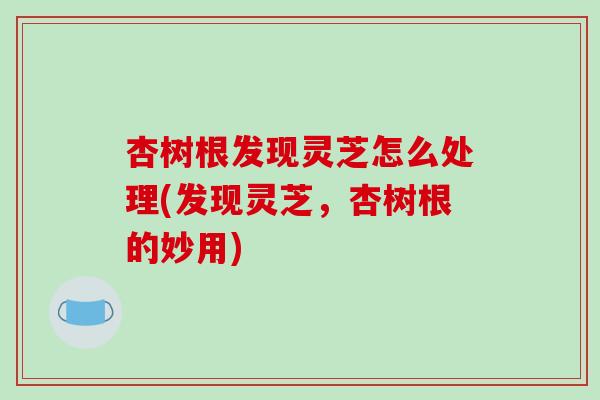 杏树根发现灵芝怎么处理(发现灵芝,杏树根的妙用)-第1张图片-破壁灵芝孢子粉研究指南 杏树根发现灵芝怎么处理(发现灵芝,杏树根的妙用)-第1张图片-破壁灵芝孢子粉研究指南