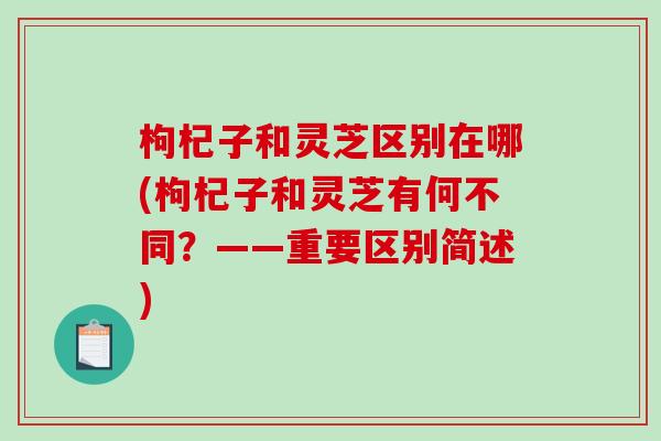 枸杞子和灵芝区别在哪(枸杞子和灵芝有何不同?——重要区别简述)-第1张图片-破壁灵芝孢子粉研究指南 枸杞子和灵芝区别在哪(枸杞子和灵芝有何不同?——重要区别简述)-第1张图片-破壁灵芝孢子粉研究指南