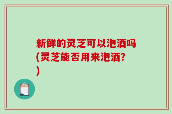 新鲜的灵芝可以泡酒吗(灵芝能否用来泡酒?)-第1张图片-破壁灵芝孢子粉研究指南 新鲜的灵芝可以泡酒吗(灵芝能否用来泡酒?)-第1张图片-破壁灵芝孢子粉研究指南