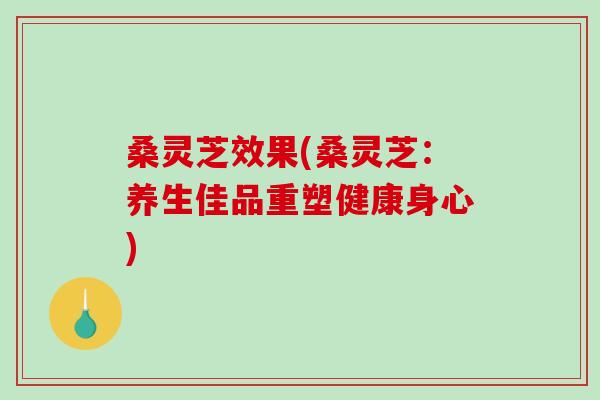 桑灵芝效果(桑灵芝:养生佳品重塑健康身心)-第1张图片-破壁灵芝孢子粉研究指南 桑灵芝效果(桑灵芝:养生佳品重塑健康身心)-第1张图片-破壁灵芝孢子粉研究指南