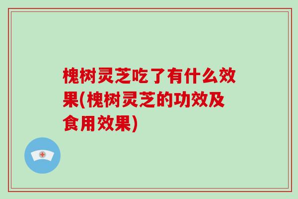 槐树灵芝吃了有什么效果(槐树灵芝的功效及食用效果)-第1张图片-破壁灵芝孢子粉研究指南 槐树灵芝吃了有什么效果(槐树灵芝的功效及食用效果)-第1张图片-破壁灵芝孢子粉研究指南