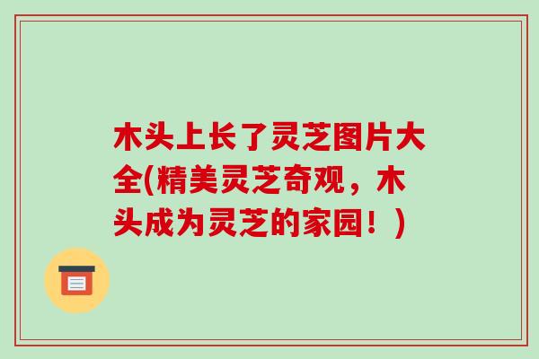 木头上长了灵芝图片大全(精美灵芝奇观，木头成为灵芝的家园！)-第1张图片-破壁灵芝孢子粉研究指南