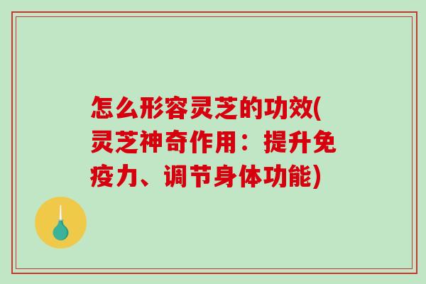 怎么形容灵芝的功效(灵芝神奇作用:提升免疫力、调节身体功能)-第1张图片-破壁灵芝孢子粉研究指南 怎么形容灵芝的功效(灵芝神奇作用:提升免疫力、调节身体功能)-第1张图片-破壁灵芝孢子粉研究指南