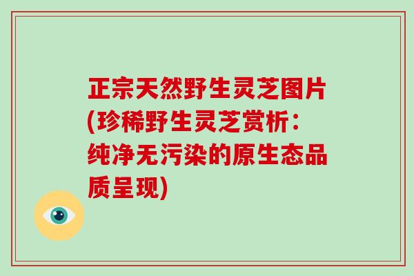 正宗天然野生灵芝图片(珍稀野生灵芝赏析:纯净无污染的原生态品质呈现)-第1张图片-破壁灵芝孢子粉研究指南 正宗天然野生灵芝图片(珍稀野生灵芝赏析:纯净无污染的原生态品质呈现)-第1张图片-破壁灵芝孢子粉研究指南