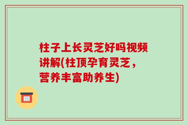 柱子上长灵芝好吗视频讲解(柱顶孕育灵芝,营养丰富助养生)-第1张图片-破壁灵芝孢子粉研究指南 柱子上长灵芝好吗视频讲解(柱顶孕育灵芝,营养丰富助养生)-第1张图片-破壁灵芝孢子粉研究指南