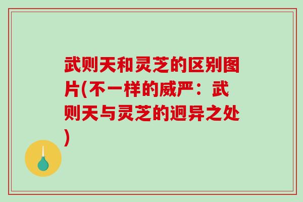 武则天和灵芝的区别图片(不一样的威严：武则天与灵芝的迥异之处)-第1张图片-破壁灵芝孢子粉研究指南