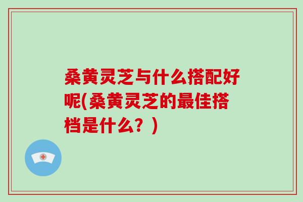 桑黄灵芝与什么搭配好呢(桑黄灵芝的最佳搭档是什么?)-第1张图片-破壁灵芝孢子粉研究指南 桑黄灵芝与什么搭配好呢(桑黄灵芝的最佳搭档是什么?)-第1张图片-破壁灵芝孢子粉研究指南