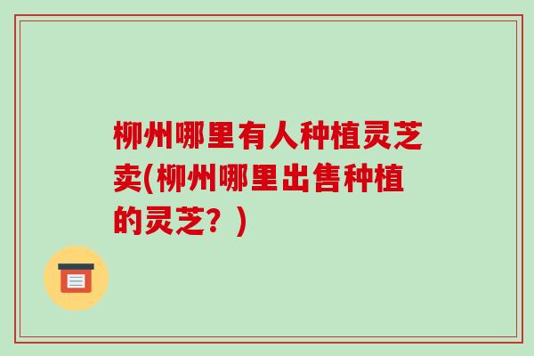 柳州哪里有人种植灵芝卖(柳州哪里出售种植的灵芝?)-第1张图片-破壁灵芝孢子粉研究指南 柳州哪里有人种植灵芝卖(柳州哪里出售种植的灵芝?)-第1张图片-破壁灵芝孢子粉研究指南