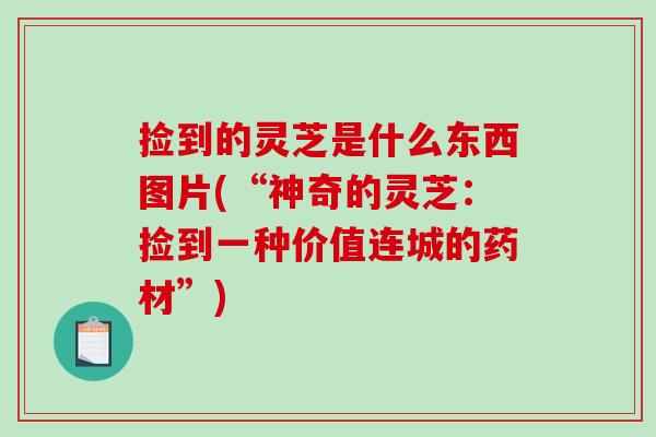 捡到的灵芝是什么东西图片(“神奇的灵芝:捡到一种价值连城的药材”)-第1张图片-破壁灵芝孢子粉研究指南 捡到的灵芝是什么东西图片(“神奇的灵芝:捡到一种价值连城的药材”)-第1张图片-破壁灵芝孢子粉研究指南