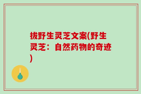 拔野生灵芝文案(野生灵芝:自然药物的奇迹)-第1张图片-破壁灵芝孢子粉研究指南 拔野生灵芝文案(野生灵芝:自然药物的奇迹)-第1张图片-破壁灵芝孢子粉研究指南
