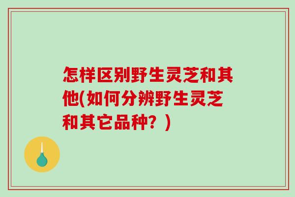 怎样区别野生灵芝和其他(如何分辨野生灵芝和其它品种?)-第1张图片-破壁灵芝孢子粉研究指南 怎样区别野生灵芝和其他(如何分辨野生灵芝和其它品种?)-第1张图片-破壁灵芝孢子粉研究指南