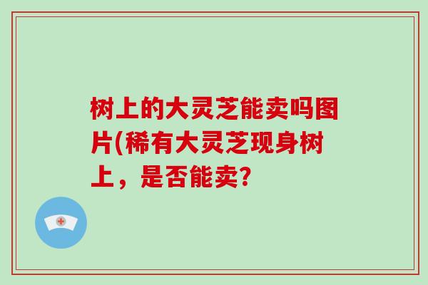 树上的大灵芝能卖吗图片(稀有大灵芝现身树上，是否能卖？-第1张图片-破壁灵芝孢子粉研究指南