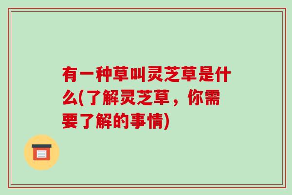 有一种草叫灵芝草是什么(了解灵芝草,你需要了解的事情)-第1张图片-破壁灵芝孢子粉研究指南 有一种草叫灵芝草是什么(了解灵芝草,你需要了解的事情)-第1张图片-破壁灵芝孢子粉研究指南