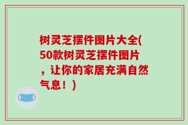树灵芝摆件图片大全(50款树灵芝摆件图片，让你的家居充满自然气息！)-第1张图片-破壁灵芝孢子粉研究指南