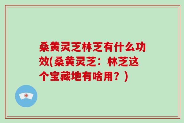 桑黄灵芝林芝有什么功效(桑黄灵芝：林芝这个宝藏地有啥用？)-第1张图片-破壁灵芝孢子粉研究指南