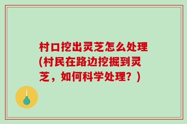 村口挖出灵芝怎么处理(村民在路边挖掘到灵芝,如何科学处理?)-第1张图片-破壁灵芝孢子粉研究指南 村口挖出灵芝怎么处理(村民在路边挖掘到灵芝,如何科学处理?)-第1张图片-破壁灵芝孢子粉研究指南