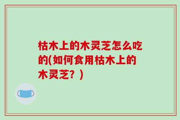 枯木上的木灵芝怎么吃的(如何食用枯木上的木灵芝？)-第1张图片-破壁灵芝孢子粉研究指南