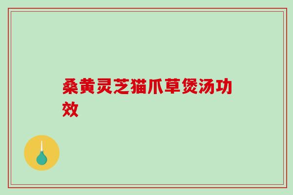 桑黄灵芝猫爪草煲汤功效-第1张图片-破壁灵芝孢子粉研究指南
