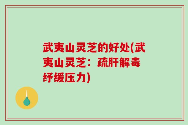 武夷山灵芝的好处(武夷山灵芝:疏肝解毒 纾缓压力)-第1张图片-破壁灵芝孢子粉研究指南 武夷山灵芝的好处(武夷山灵芝:疏肝解毒 纾缓压力)-第1张图片-破壁灵芝孢子粉研究指南