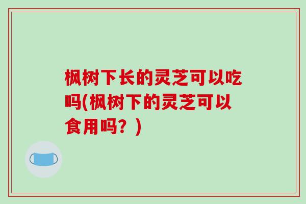 枫树下长的灵芝可以吃吗(枫树下的灵芝可以食用吗？)-第1张图片-破壁灵芝孢子粉研究指南