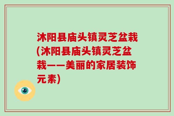 沐阳县庙头镇灵芝盆栽(沐阳县庙头镇灵芝盆栽——美丽的家居装饰元素)-第1张图片-破壁灵芝孢子粉研究指南