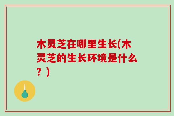 木灵芝在哪里生长(木灵芝的生长环境是什么?)-第1张图片-破壁灵芝孢子粉研究指南 木灵芝在哪里生长(木灵芝的生长环境是什么?)-第1张图片-破壁灵芝孢子粉研究指南