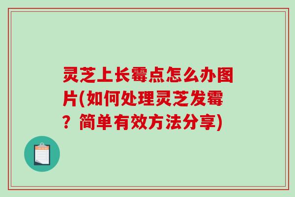 灵芝上长霉点怎么办图片(如何处理灵芝发霉?简单有效方法分享)-第1张图片-破壁灵芝孢子粉研究指南 灵芝上长霉点怎么办图片(如何处理灵芝发霉?简单有效方法分享)-第1张图片-破壁灵芝孢子粉研究指南