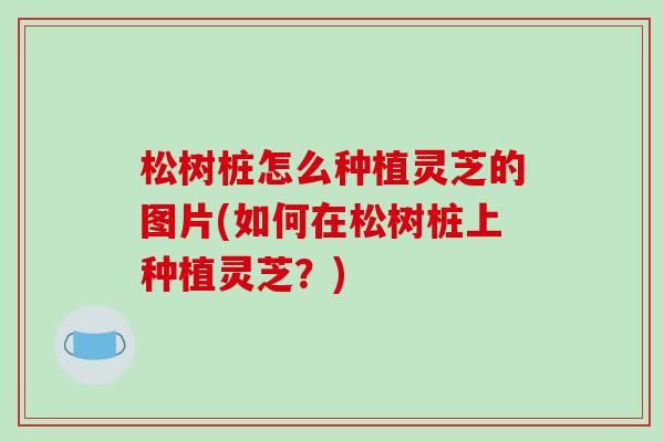 松树桩怎么种植灵芝的图片(如何在松树桩上种植灵芝?)-第1张图片-破壁灵芝孢子粉研究指南 松树桩怎么种植灵芝的图片(如何在松树桩上种植灵芝?)-第1张图片-破壁灵芝孢子粉研究指南