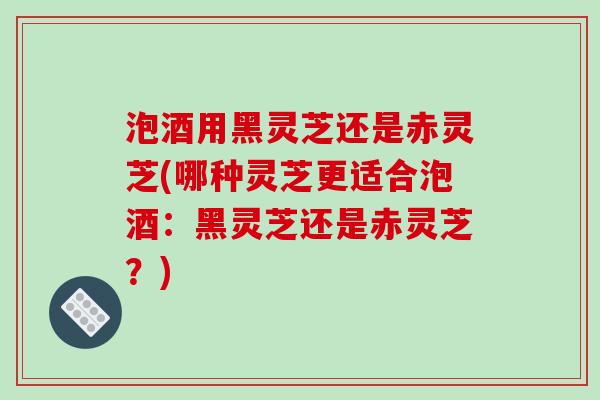 泡酒用黑灵芝还是赤灵芝(哪种灵芝更适合泡酒：黑灵芝还是赤灵芝？)-第1张图片-破壁灵芝孢子粉研究指南