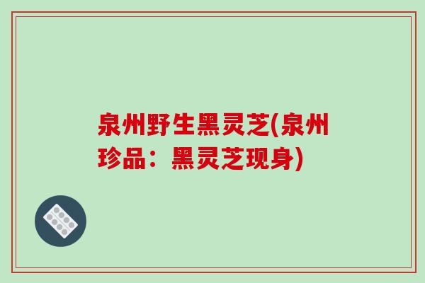 泉州野生黑灵芝(泉州珍品:黑灵芝现身)-第1张图片-破壁灵芝孢子粉研究指南 泉州野生黑灵芝(泉州珍品:黑灵芝现身)-第1张图片-破壁灵芝孢子粉研究指南