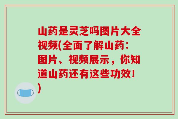 山药是灵芝吗图片大全视频(全面了解山药:图片、视频展示,你知道山药还有这些功效!)-第1张图片-破壁灵芝孢子粉研究指南 山药是灵芝吗图片大全视频(全面了解山药:图片、视频展示,你知道山药还有这些功效!)-第1张图片-破壁灵芝孢子粉研究指南