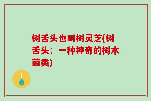 树舌头也叫树灵芝(树舌头:一种神奇的树木菌类)-第1张图片-破壁灵芝孢子粉研究指南 树舌头也叫树灵芝(树舌头:一种神奇的树木菌类)-第1张图片-破壁灵芝孢子粉研究指南