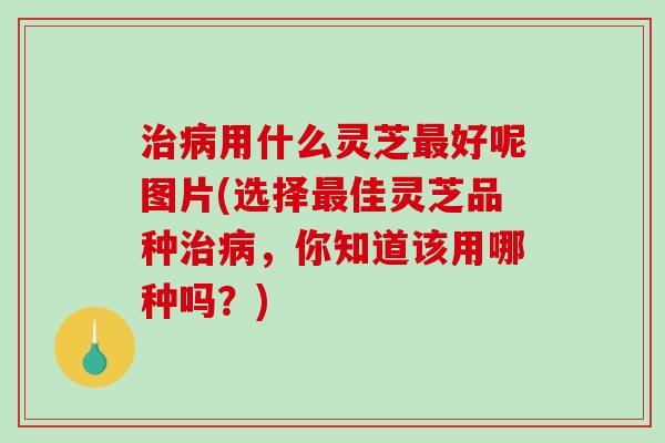 治病用什么灵芝最好呢图片(选择最佳灵芝品种治病,你知道该用哪种吗?)-第1张图片-破壁灵芝孢子粉研究指南 治病用什么灵芝最好呢图片(选择最佳灵芝品种治病,你知道该用哪种吗?)-第1张图片-破壁灵芝孢子粉研究指南