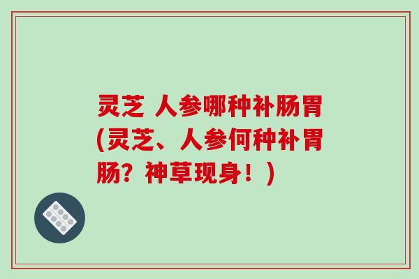灵芝 人参哪种补肠胃(灵芝、人参何种补胃肠?神草现身!)-第1张图片-破壁灵芝孢子粉研究指南 灵芝 人参哪种补肠胃(灵芝、人参何种补胃肠?神草现身!)-第1张图片-破壁灵芝孢子粉研究指南