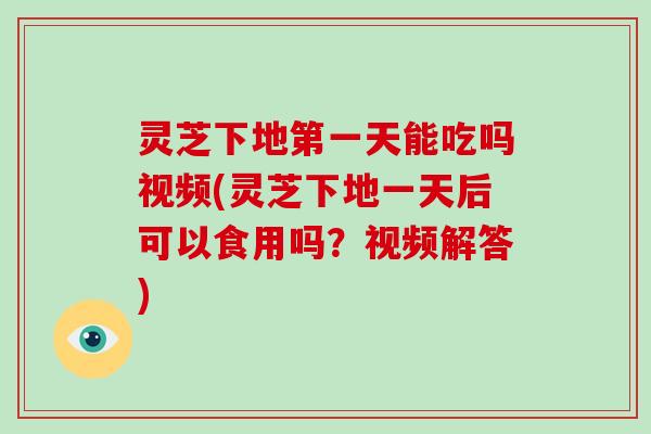 灵芝下地第一天能吃吗视频(灵芝下地一天后可以食用吗?视频解答)-第1张图片-破壁灵芝孢子粉研究指南 灵芝下地第一天能吃吗视频(灵芝下地一天后可以食用吗?视频解答)-第1张图片-破壁灵芝孢子粉研究指南