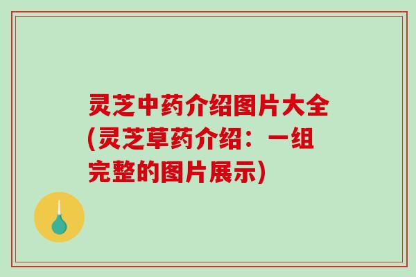 灵芝中药介绍图片大全(灵芝草药介绍:一组完整的图片展示)-第1张图片-破壁灵芝孢子粉研究指南 灵芝中药介绍图片大全(灵芝草药介绍:一组完整的图片展示)-第1张图片-破壁灵芝孢子粉研究指南