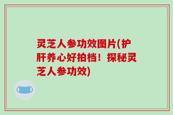 灵芝人参功效图片(护肝养心好拍档!探秘灵芝人参功效)-第1张图片-破壁灵芝孢子粉研究指南 灵芝人参功效图片(护肝养心好拍档!探秘灵芝人参功效)-第1张图片-破壁灵芝孢子粉研究指南